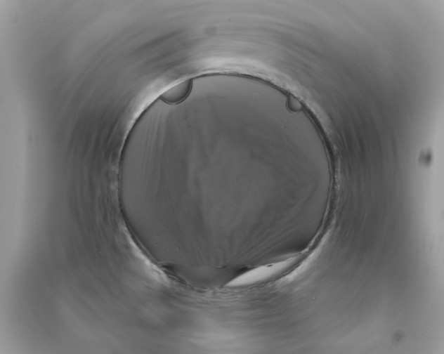 X0000090771529200708172057