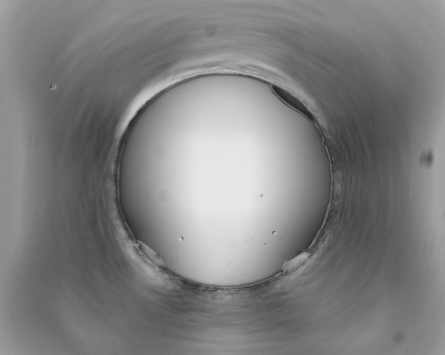X0000090771530200708172058