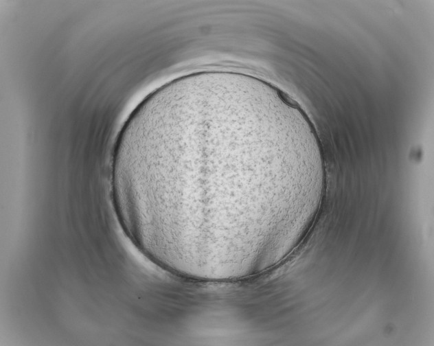 X0000090771531200708172058
