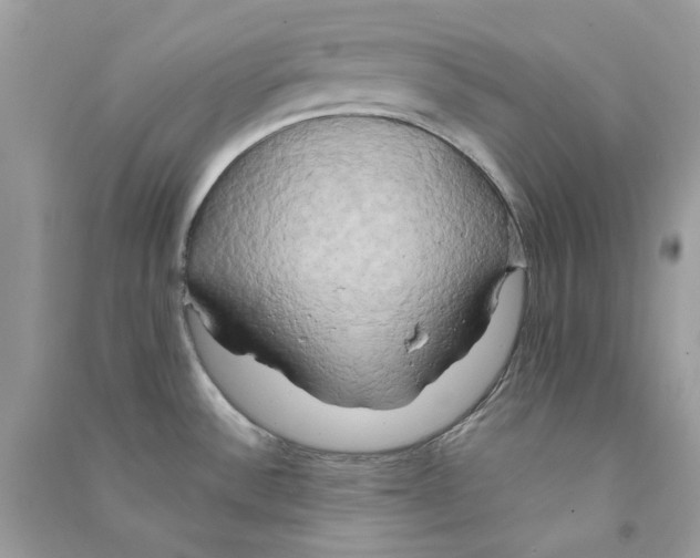 X0000090771532200708172058
