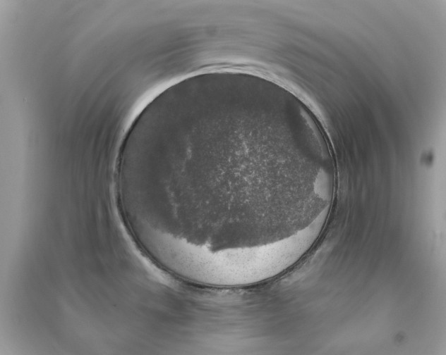 X0000090771533200708172058