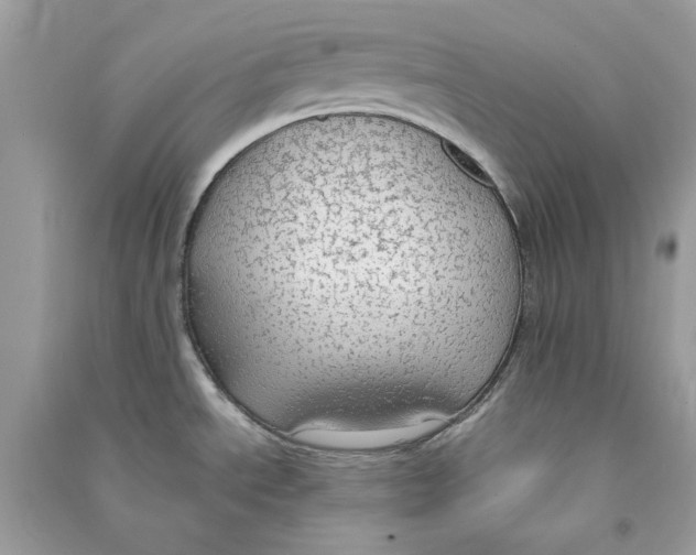 X0000090771534200708172058