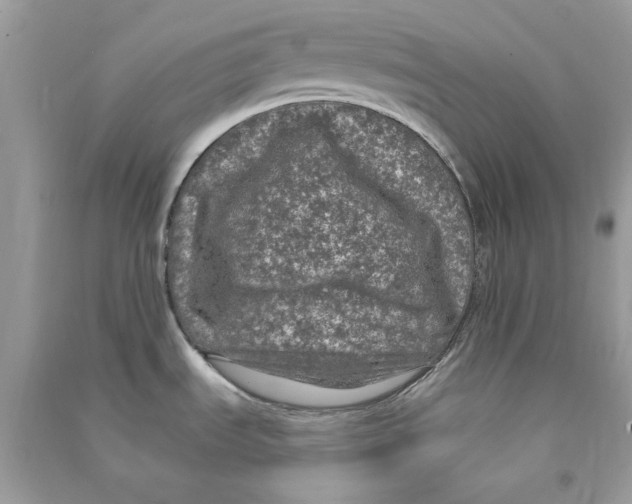 X0000090771535200708172058
