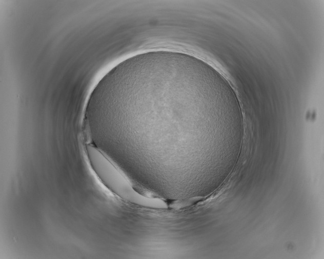 X0000090771536200708172058