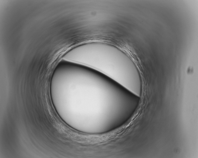 X0000090780001200707201144