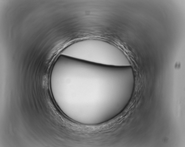 X0000090780002200707201144