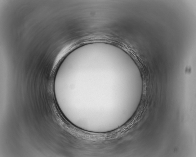 X0000090780004200707201144