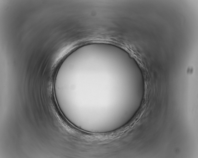X0000090780005200707201144