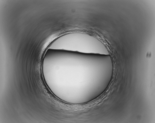 X0000090780006200707201144