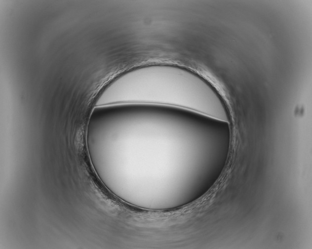 X0000090780009200707201144