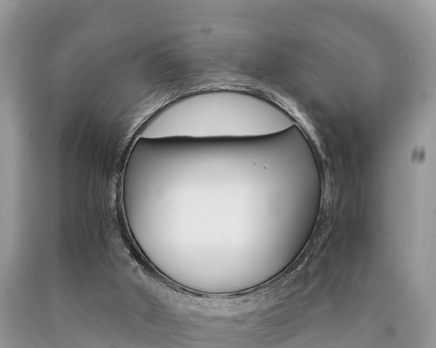 X0000090780010200707201144