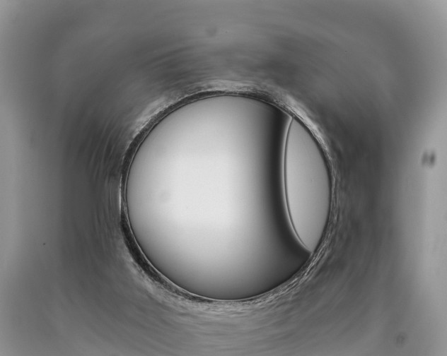 X0000090780011200707201144