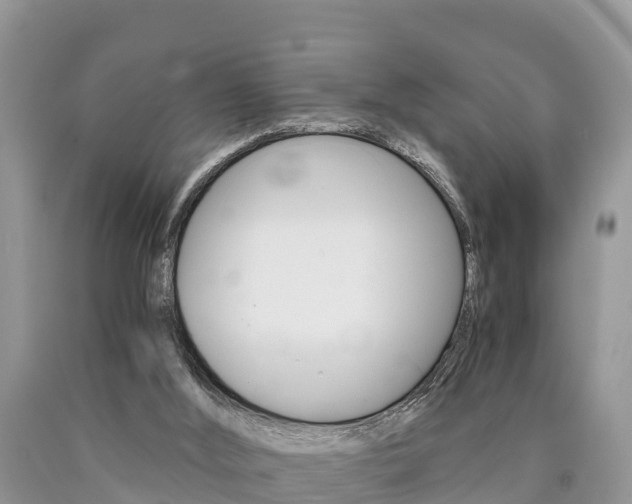 X0000090780012200707201144