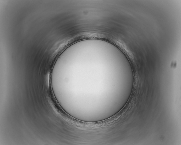 X0000090780014200707201144
