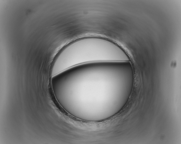 X0000090780015200707201144