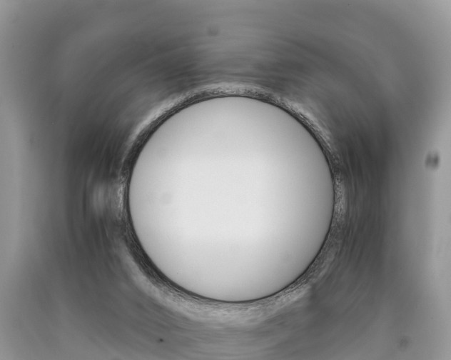 X0000090780016200707201144