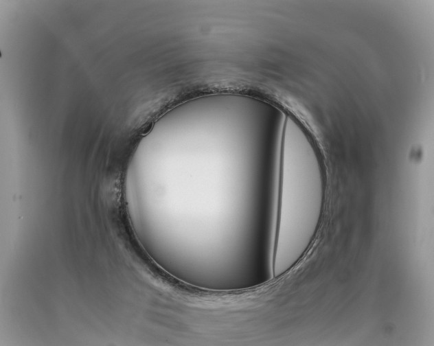 X0000090780017200707201144