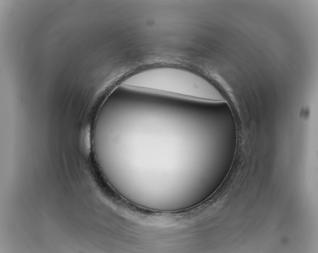 X0000090780020200707201144