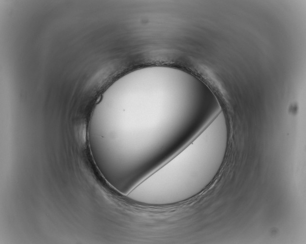 X0000090780021200707201144