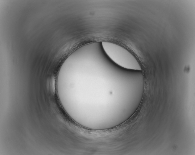 X0000090780022200707201144