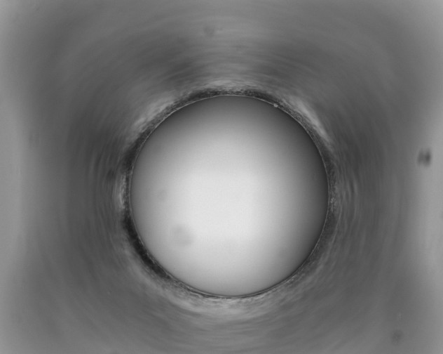 X0000090780023200707201144