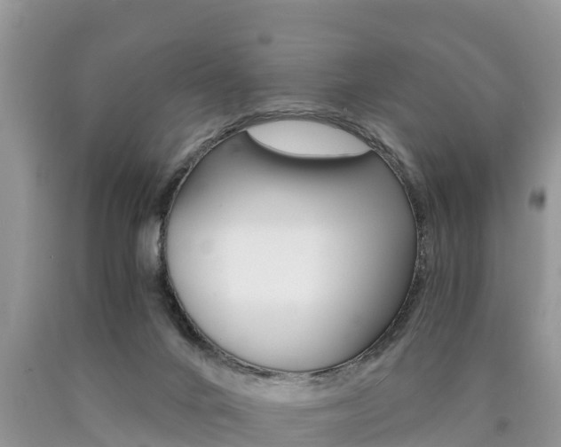 X0000090780024200707201144