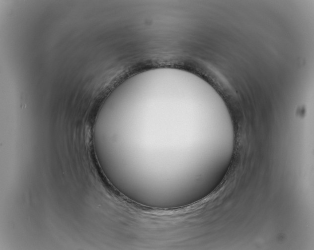 X0000090780025200707201144
