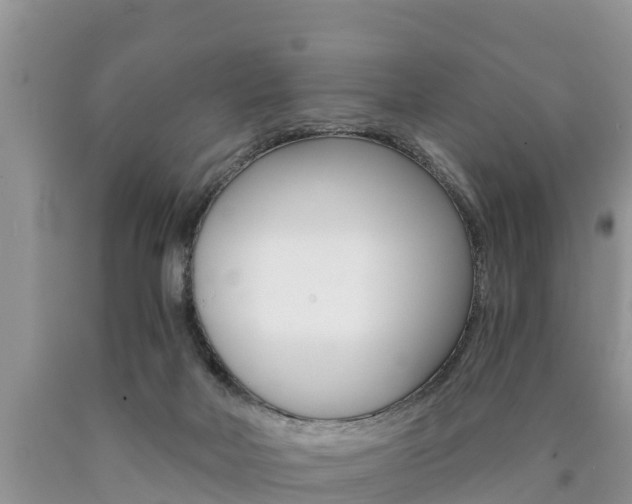 X0000090780026200707201144
