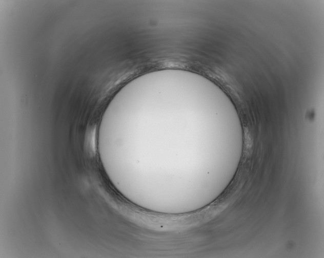 X0000090780028200707201144