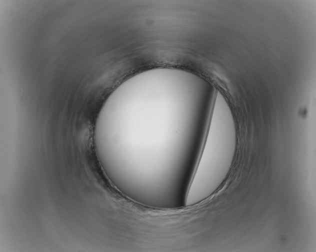 X0000090780029200707201144