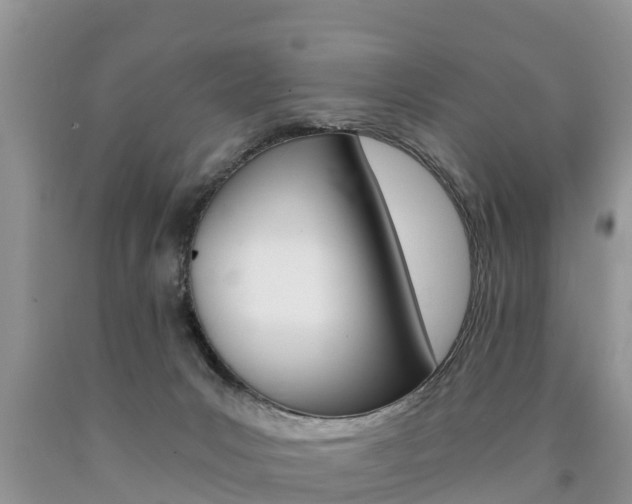 X0000090780031200707201144