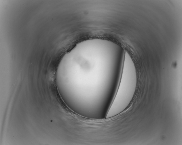 X0000090780033200707201144