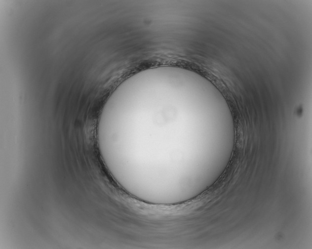 X0000090780034200707201144