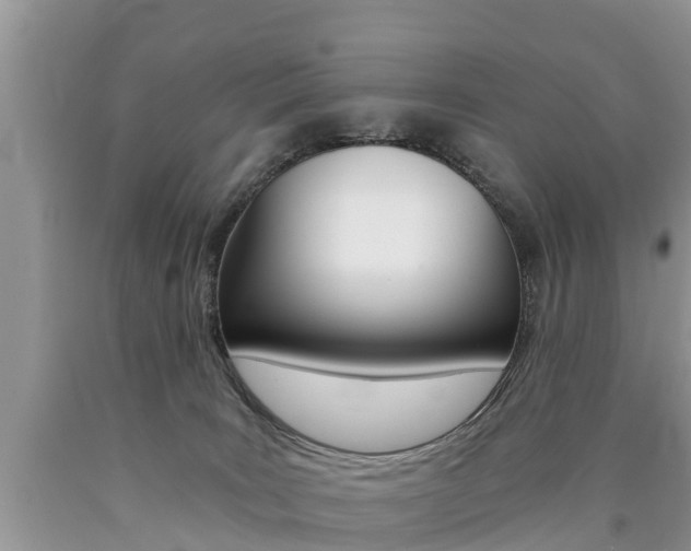 X0000090780035200707201144