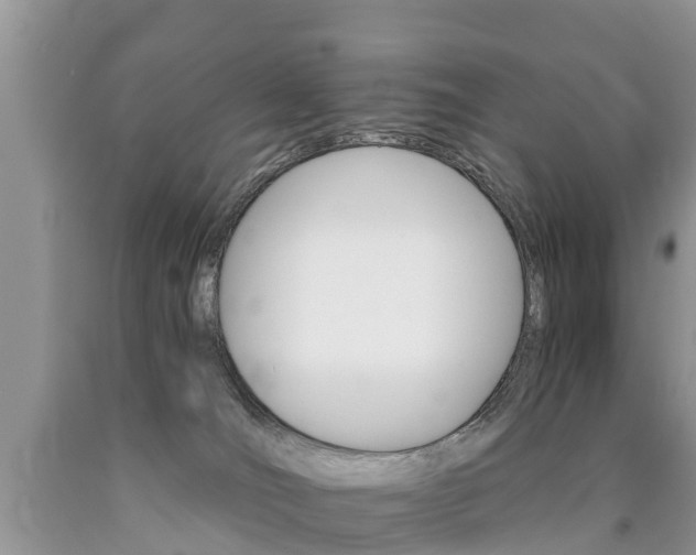 X0000090780036200707201144