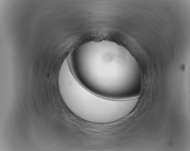 X0000090780037200707201144