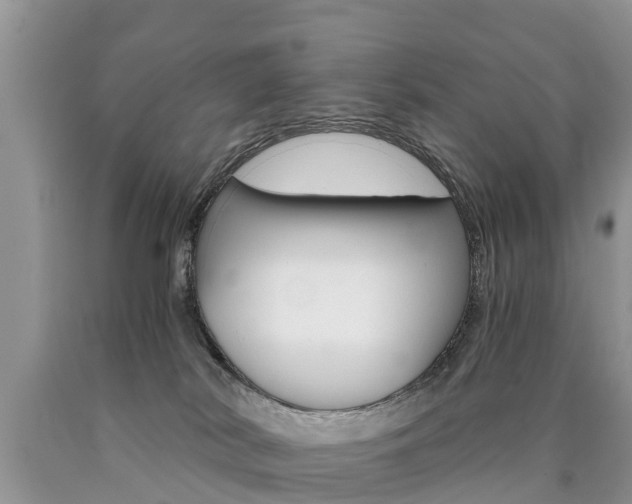 X0000090780038200707201144