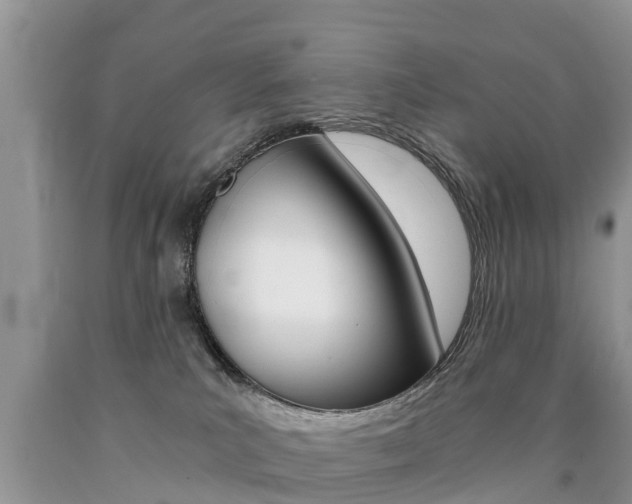 X0000090780039200707201144