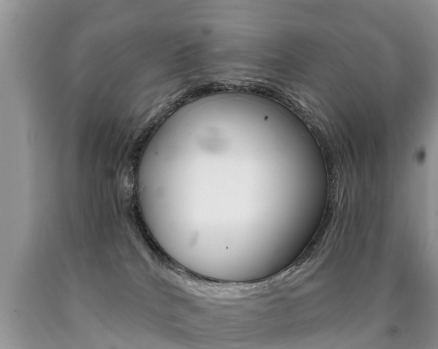 X0000090780040200707201144