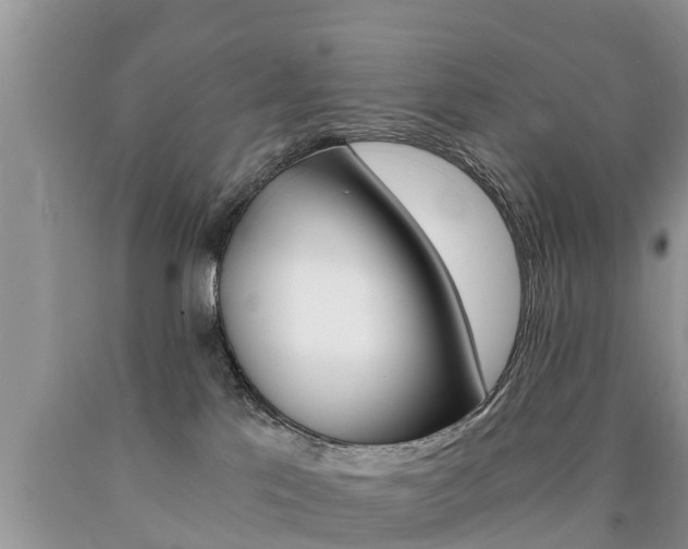X0000090780041200707201144
