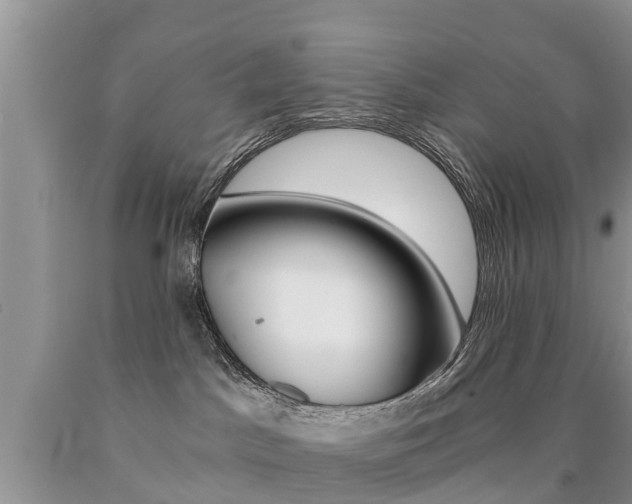 X0000090780045200707201143