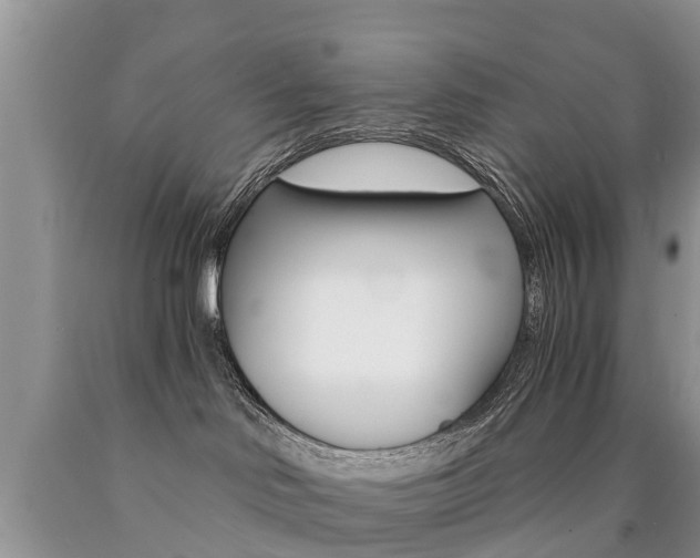 X0000090780046200707201143
