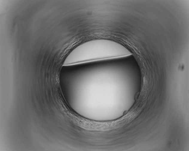 X0000090780048200707201143