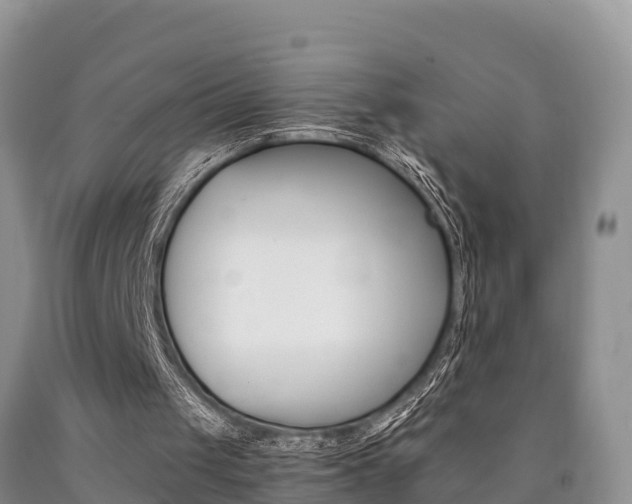 X0000090780049200707201143
