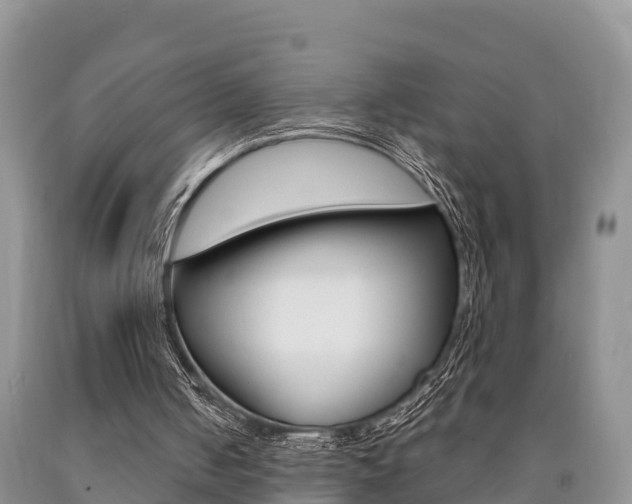 X0000090780050200707201143