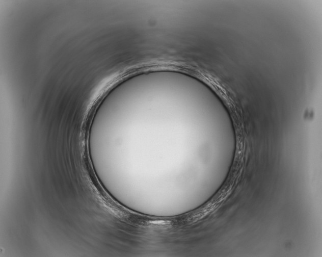 X0000090780053200707201143