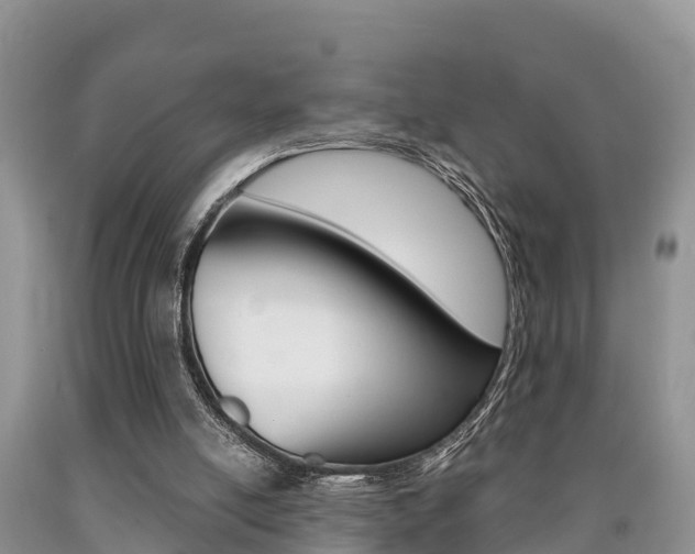 X0000090780054200707201143