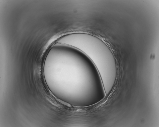X0000090780056200707201143