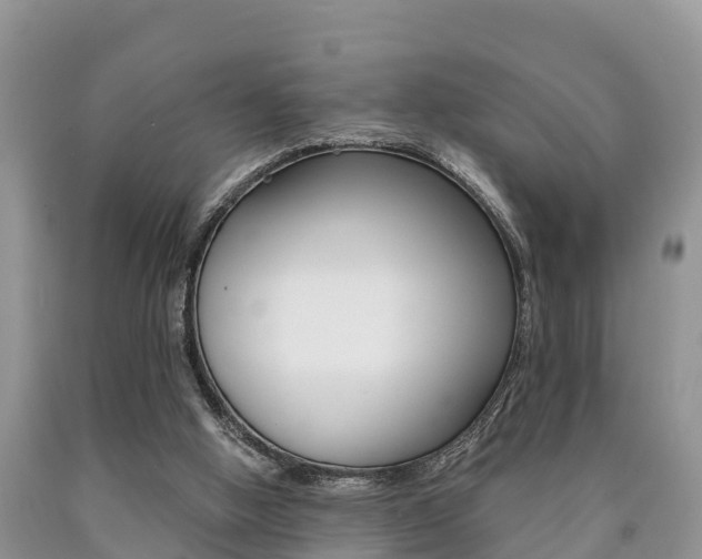 X0000090780058200707201143