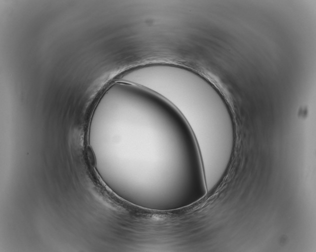 X0000090780060200707201143